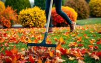 Performing fall clean up by raking leaves in a beautiful autumn yard.