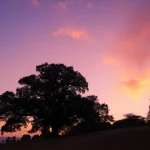 Unveiling the Magic of Here: A Journey Through Stories and Landscapes